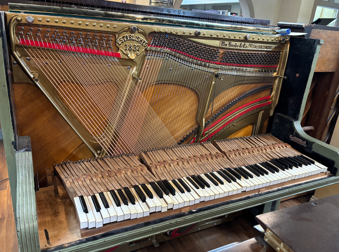 A Fresh Touch to a Piece of History!
