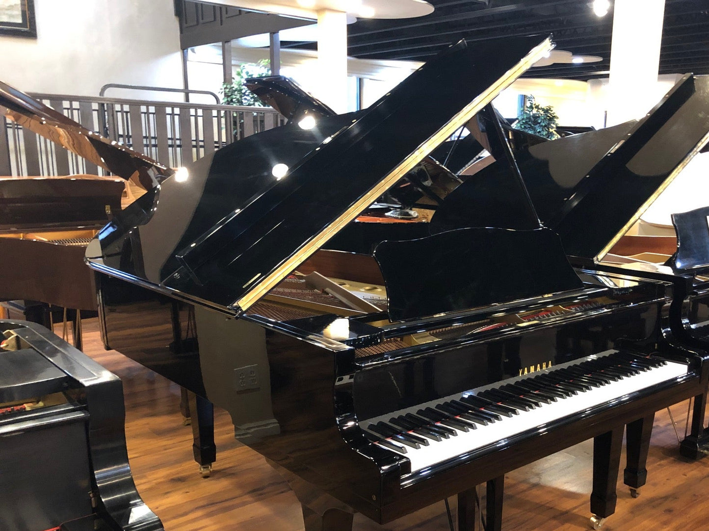 1980 Polished black Yamaha C5 grand piano in showroom.