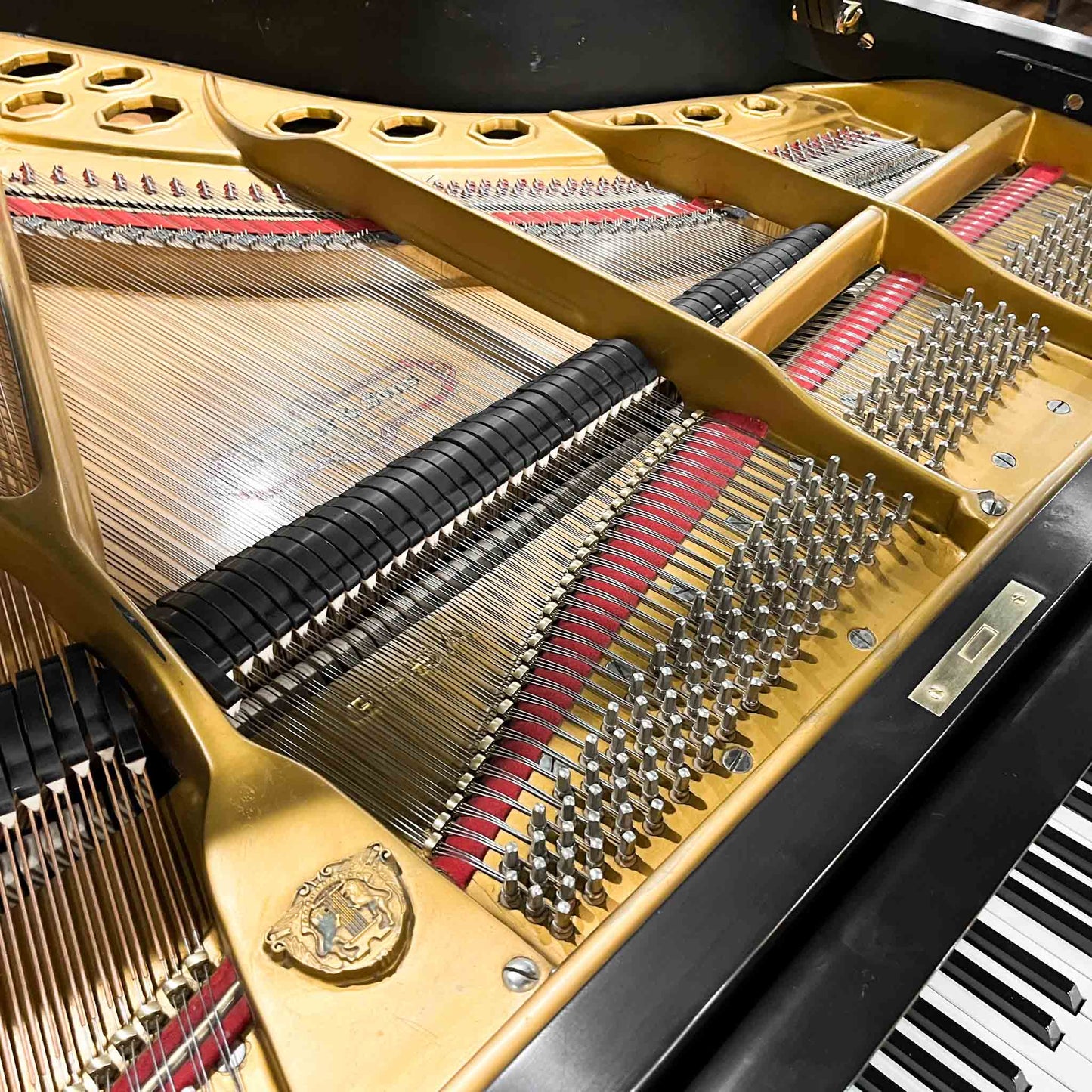 1990 Schafer & Sons G-5A 6'9" Satin Black Grand Piano with Self Playing System