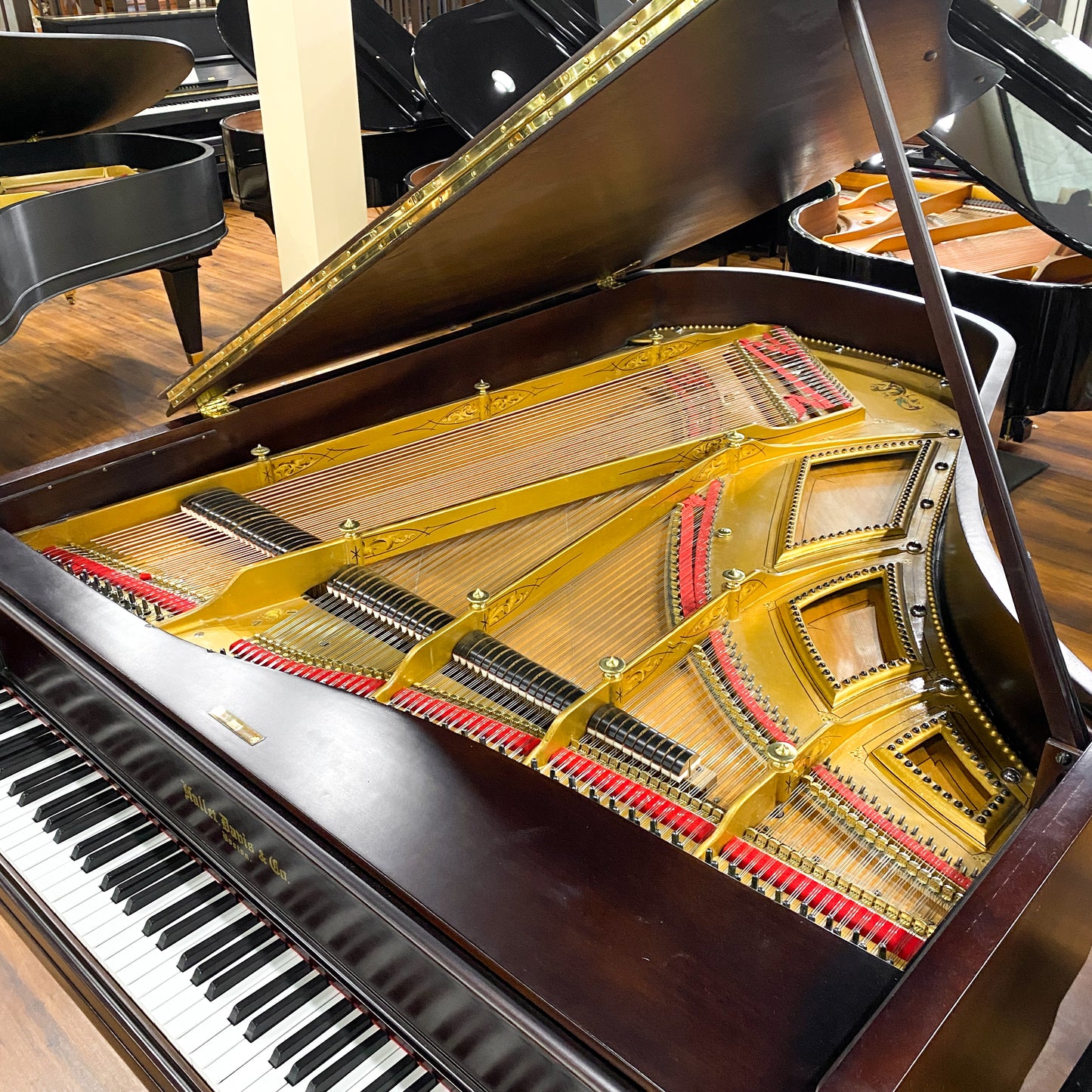 1885 Hallet Davis 6'8" Wood Finish Grand Piano - with QRS Digital Player System
