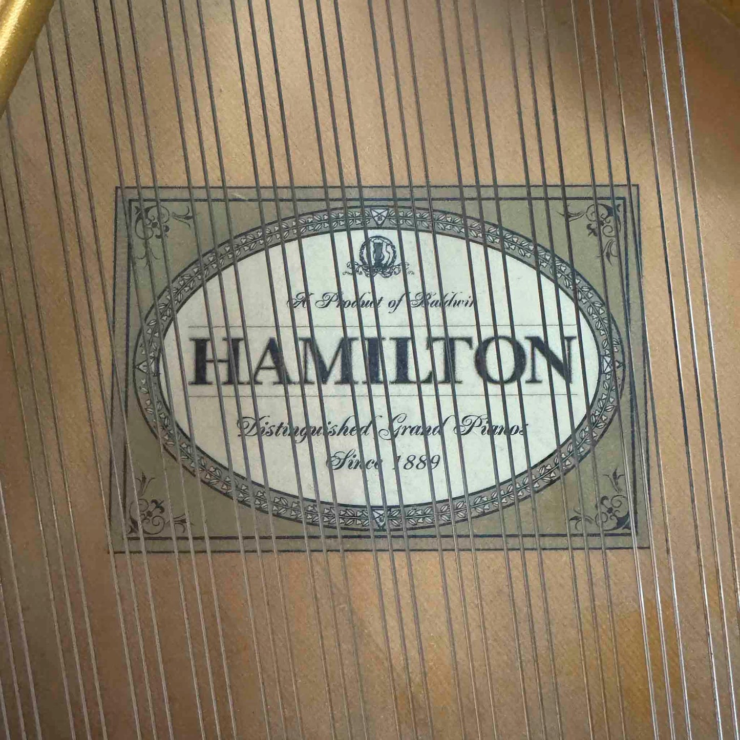 Hamilton (by Baldwin) 4'11" Polished Black Baby Grand Piano