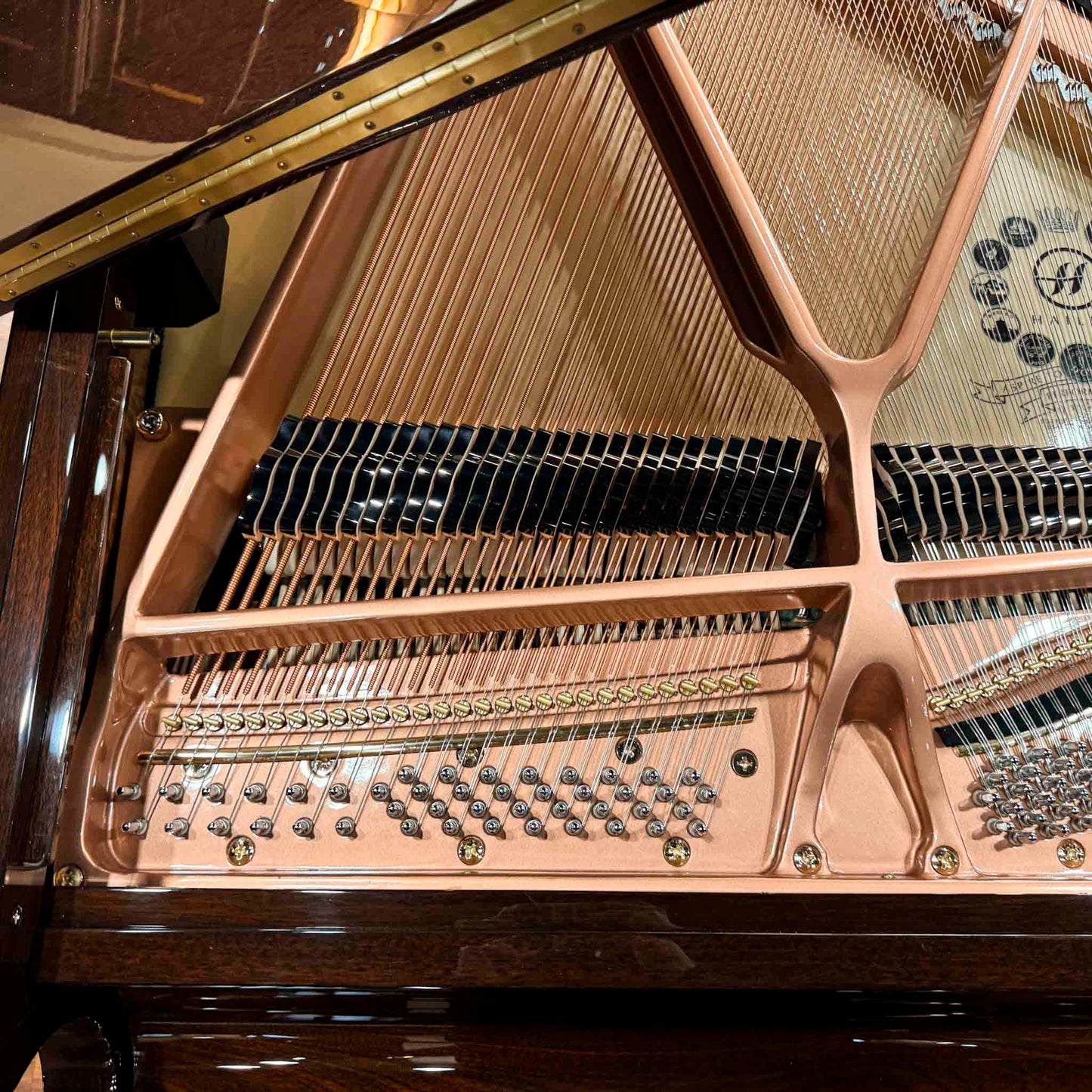 Hailun 151 5' Polished Walnut Baby Grand
