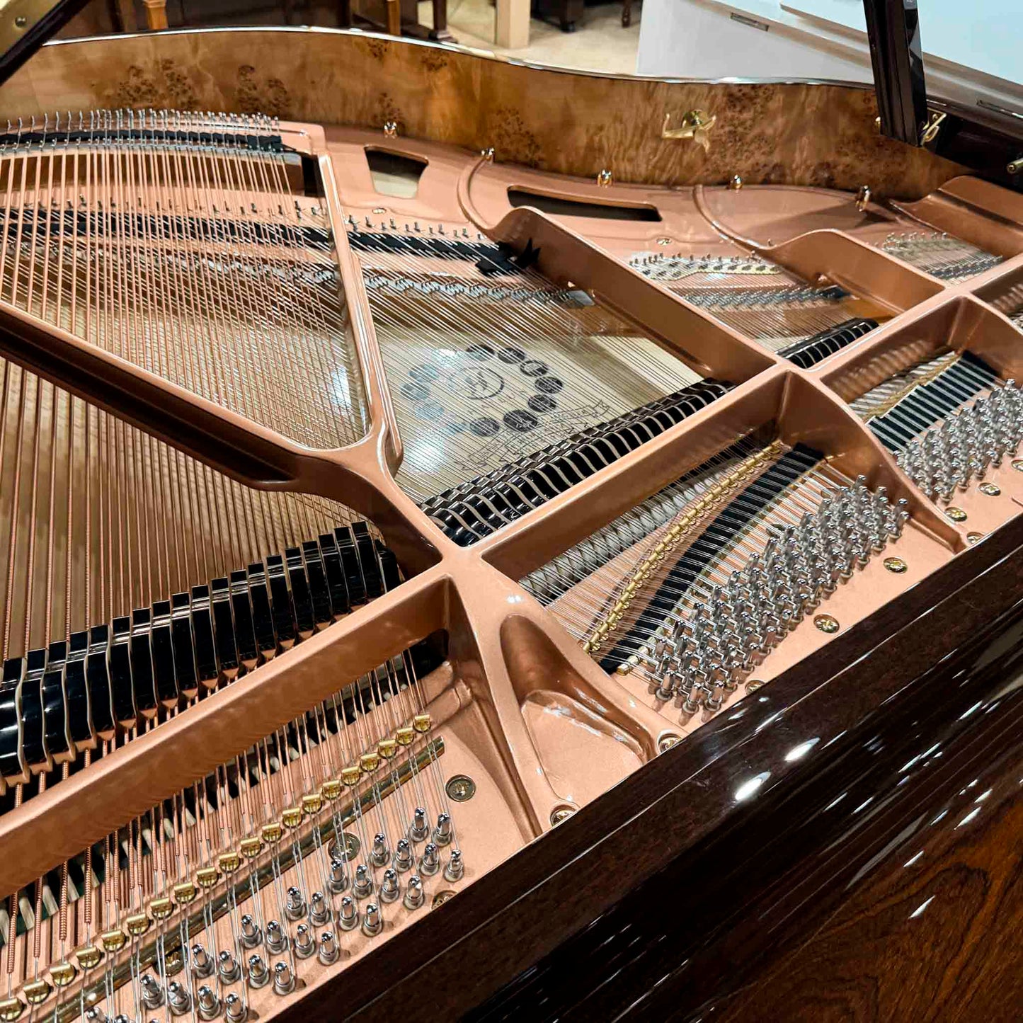 Hailun 151 5' Polished Walnut Baby Grand