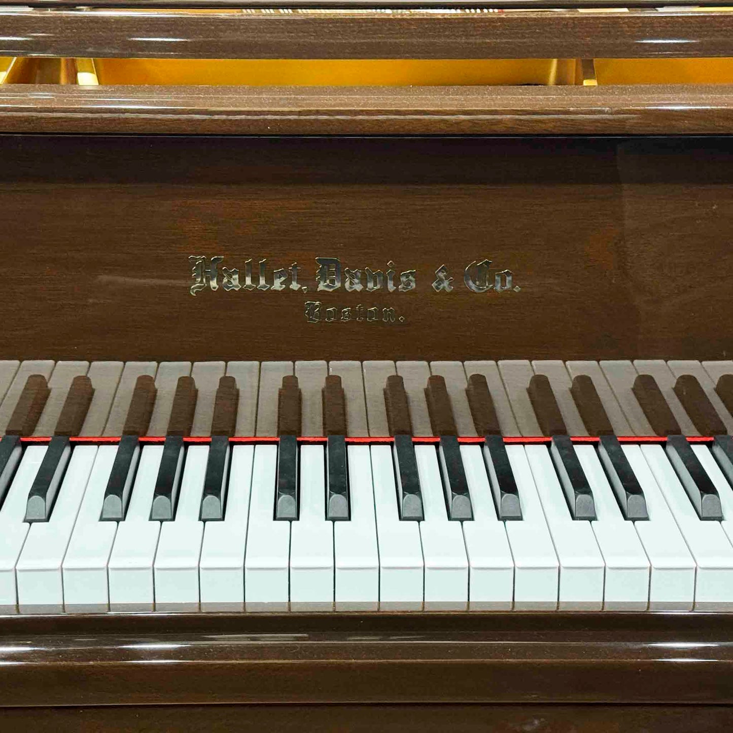 Hallet Davis 160 5'3" Dark Walnut Polish Grand Piano with Self Playing System