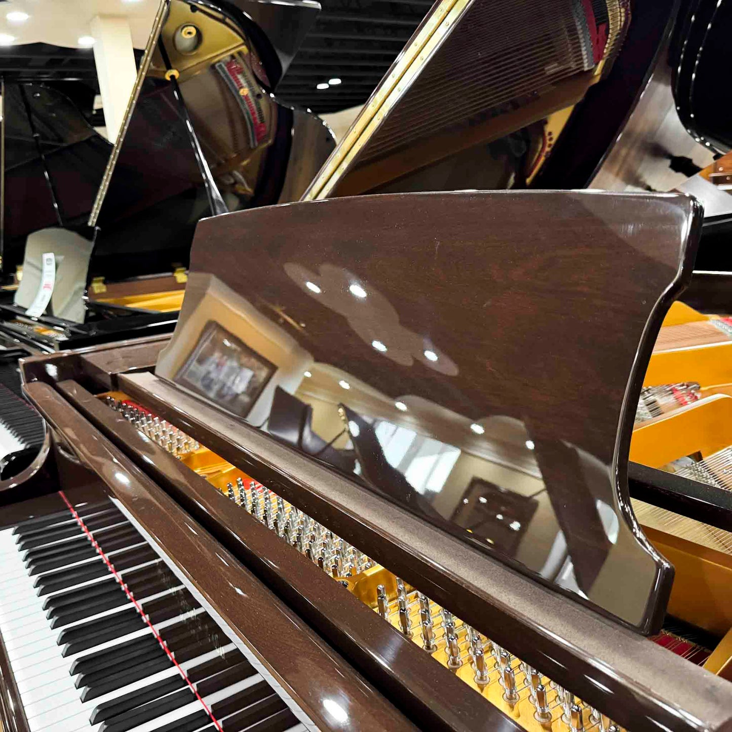 Hallet Davis 160 5'3" Dark Walnut Polish Grand Piano with Self Playing System