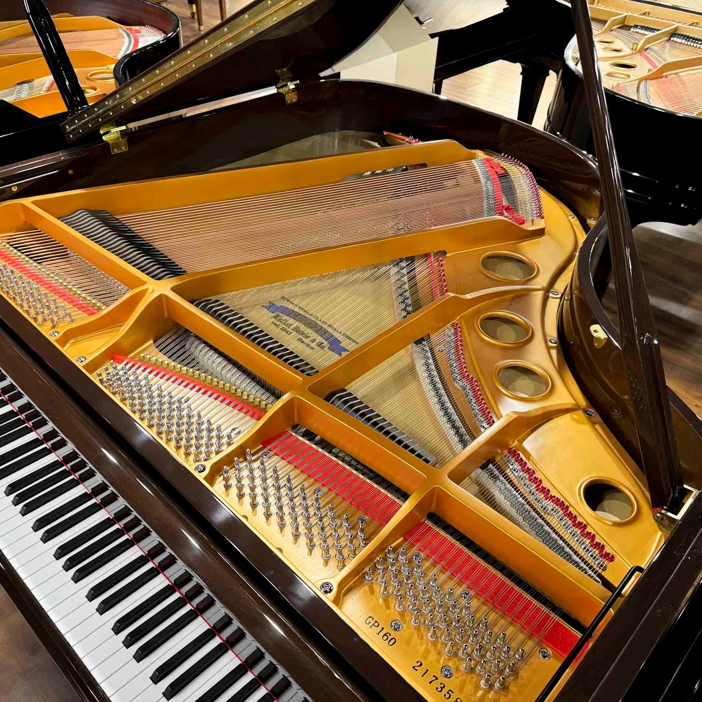 Hallet Davis 160 5'3" Dark Walnut Polish Grand Piano with Self Playing System