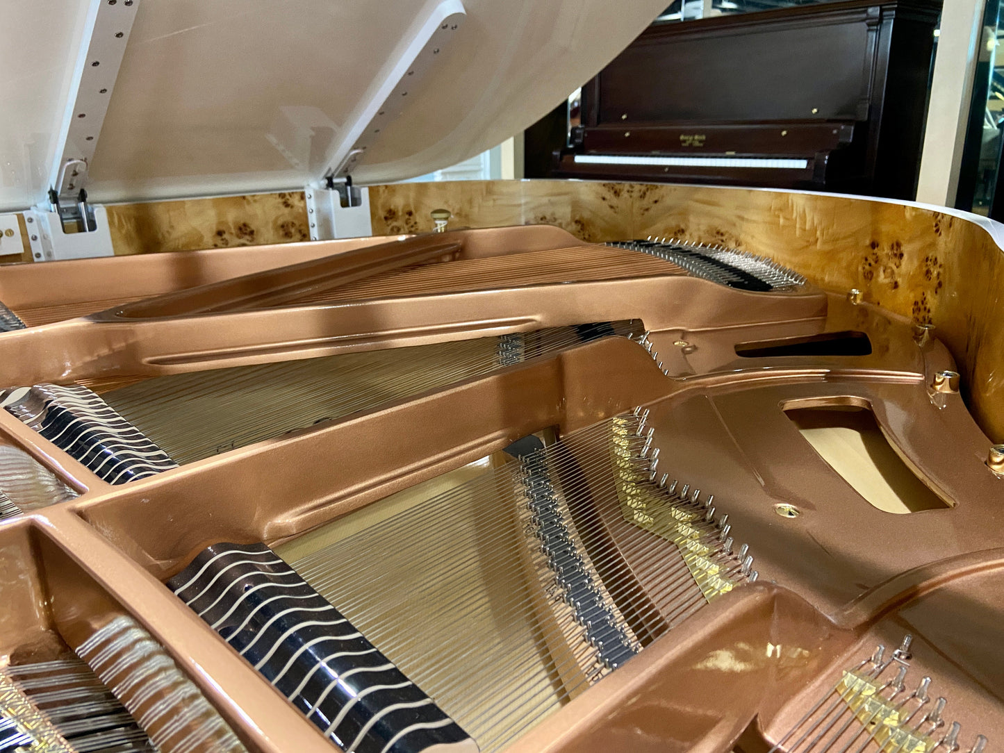 Image 2 of Hailun 151  White Polish / 5'