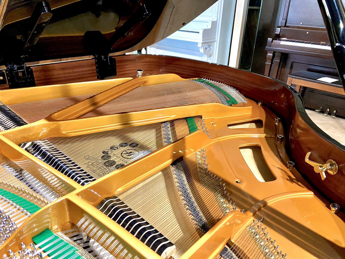 Image 4 of Hailun Grand 150 SE.10