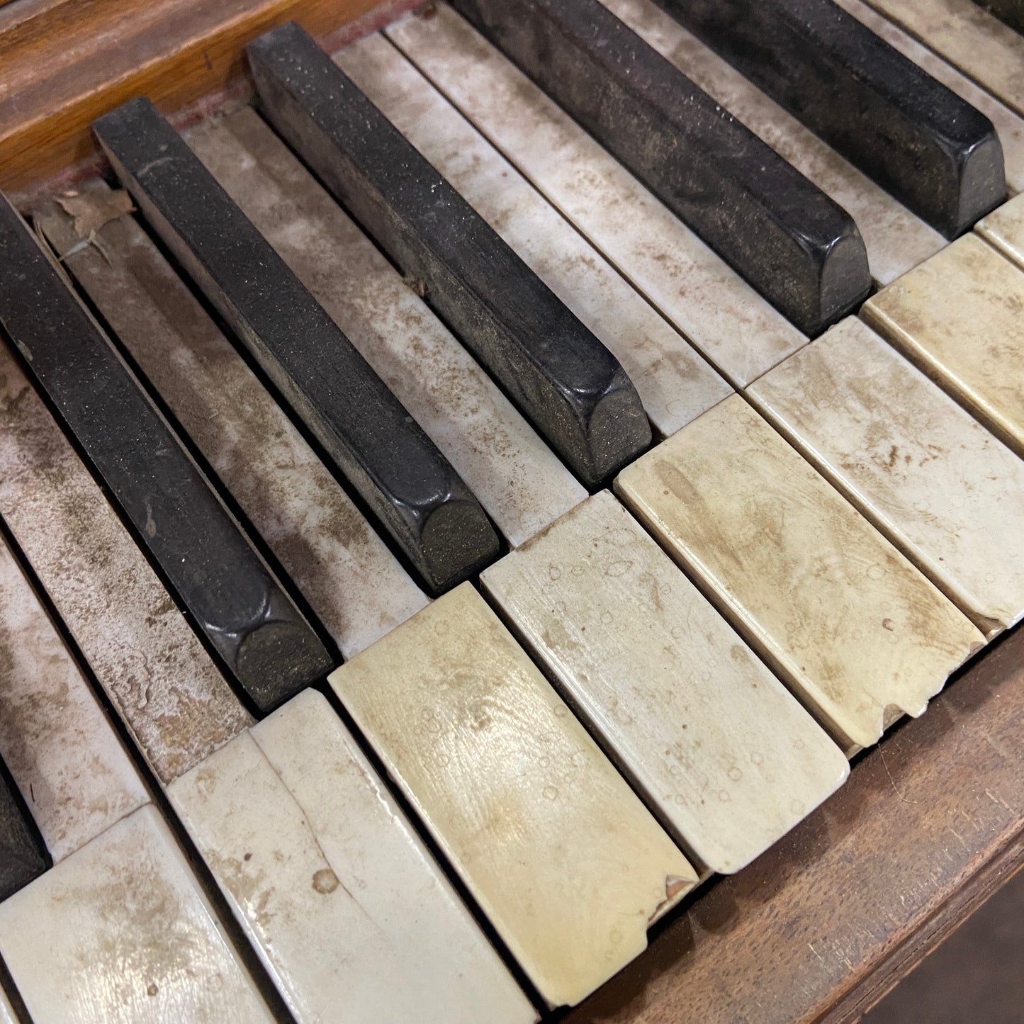 Image 19 of Behr Bros Upright