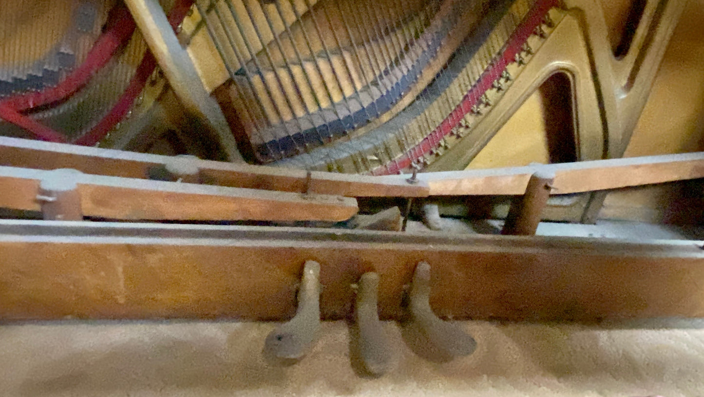 Image 24 of Behr Bros Upright