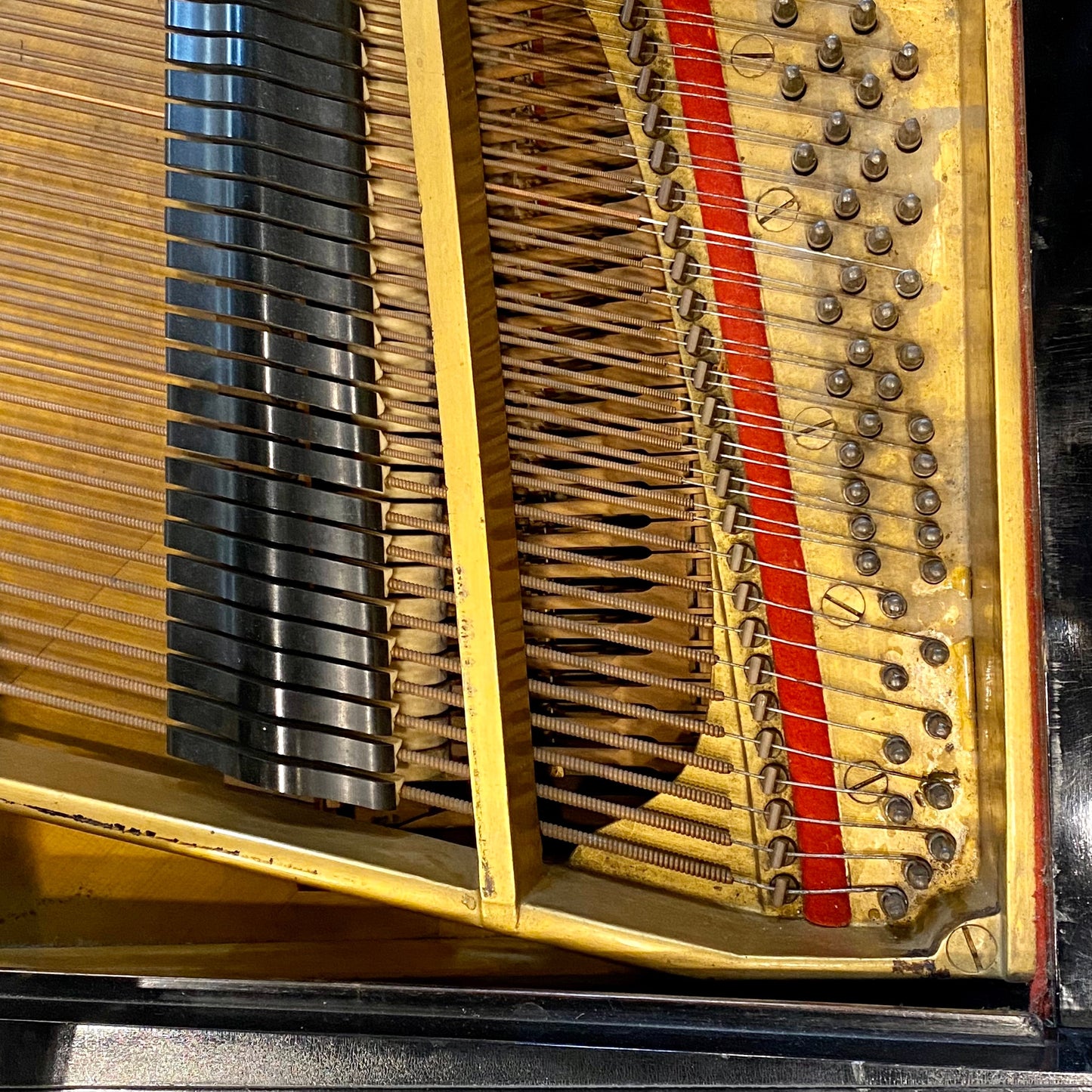 Image 11 of 1905 Steinway Grand