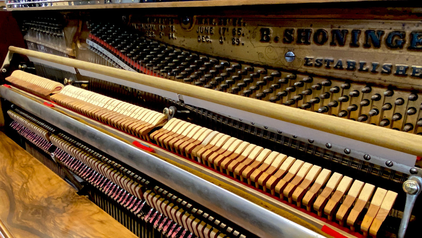 Image 11 of 1902 Shoninger Upright / 54"