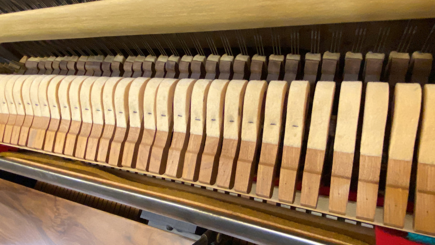 Image 12 of 1902 Shoninger Upright / 54"
