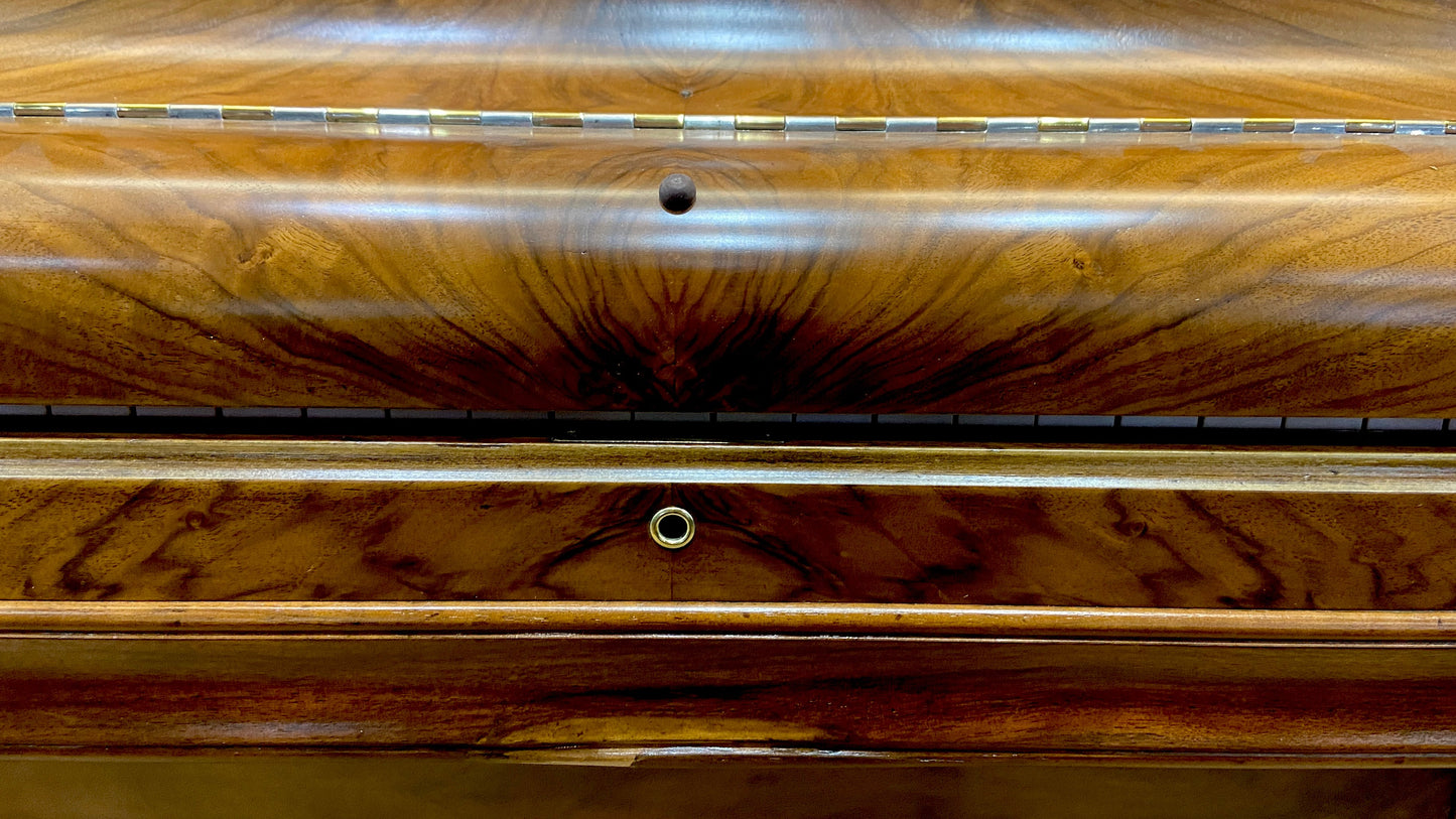 Image 16 of 1902 Shoninger Upright / 54"