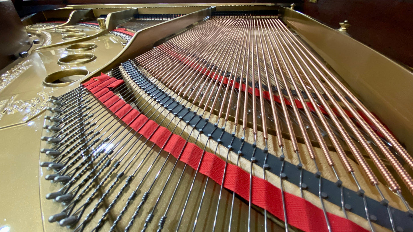 Image 13 of 1917 Steinway M