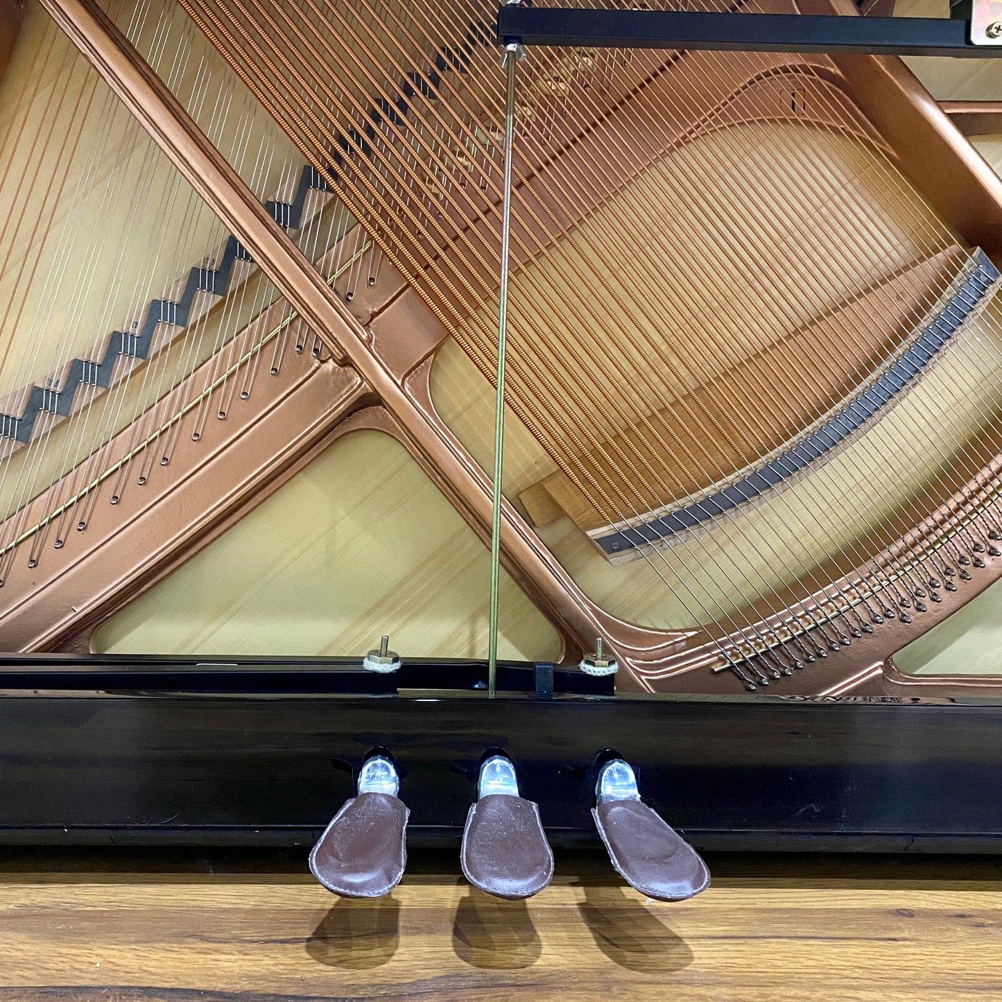 Image 12 of Hailun 5P CH Black Polish / 50"