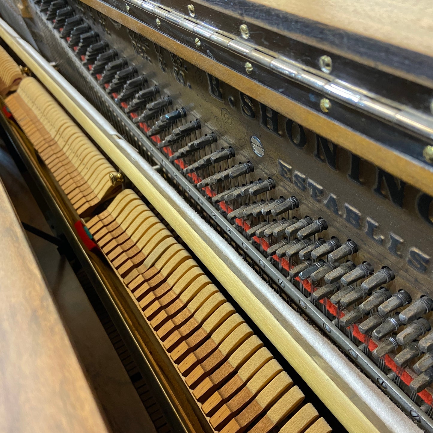 Image 22 of 1902 Shoninger Upright / 54"