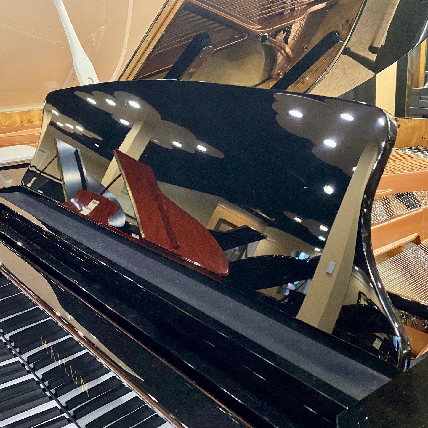Image 3 of Hailun Grand 161 / Polished Black / 5'4"