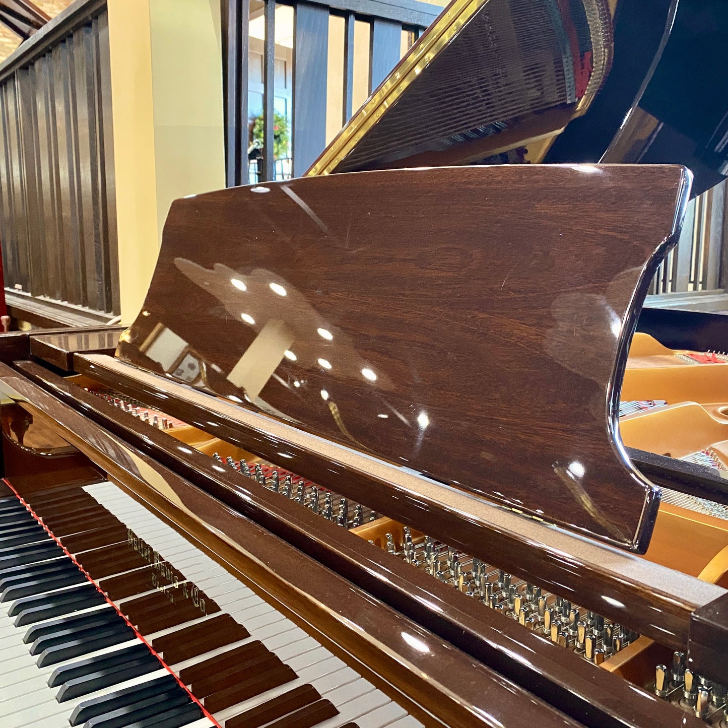 Image 4 of Hallet Davis 160 /5'3" Polished Walnut