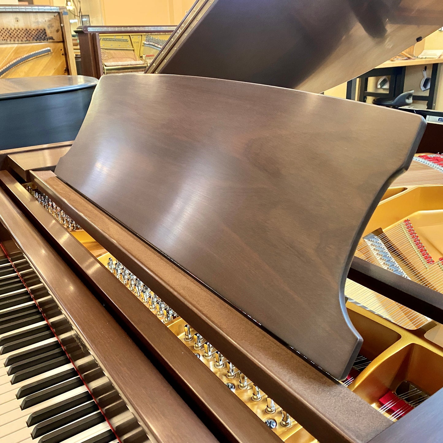 Image 5 of Hallet Davis 148 / 4'10" / Dark Satin Walnut