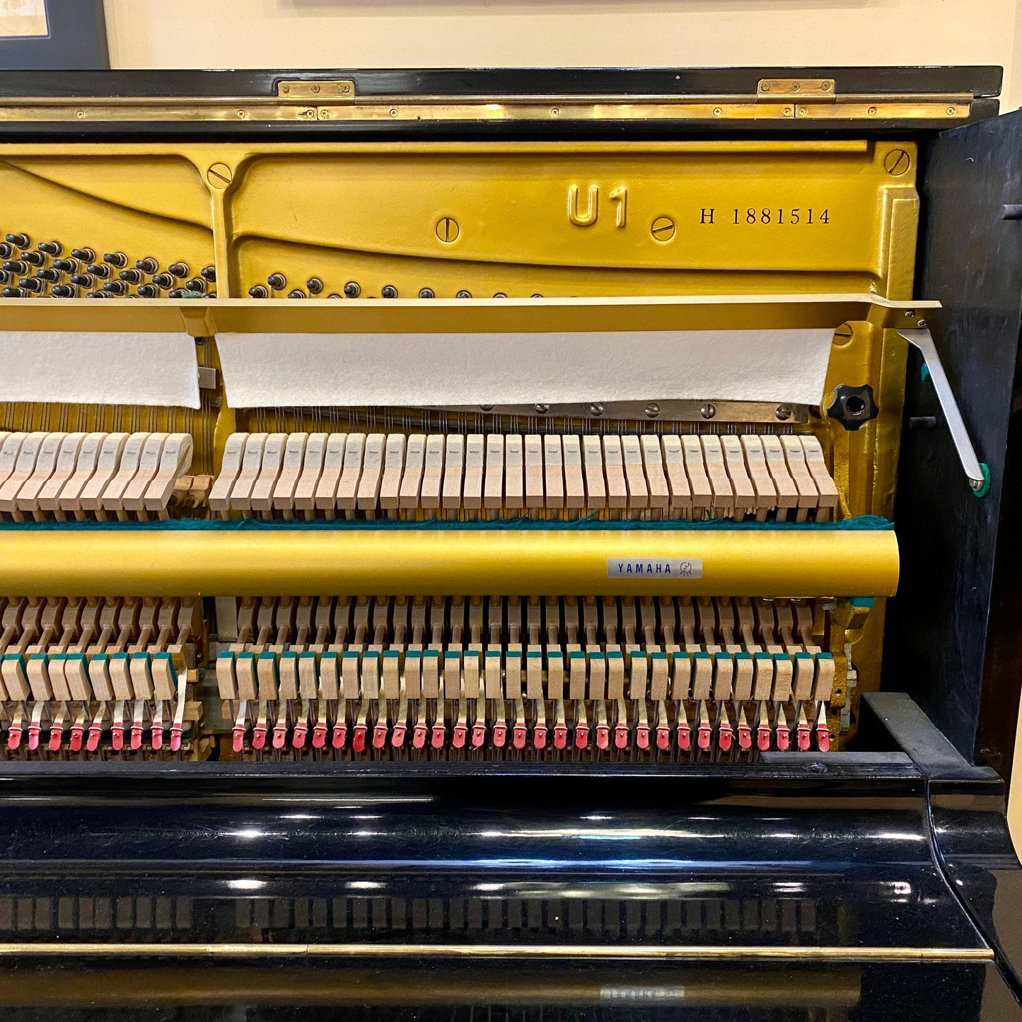 Image 9 of 1974 Yamaha U1