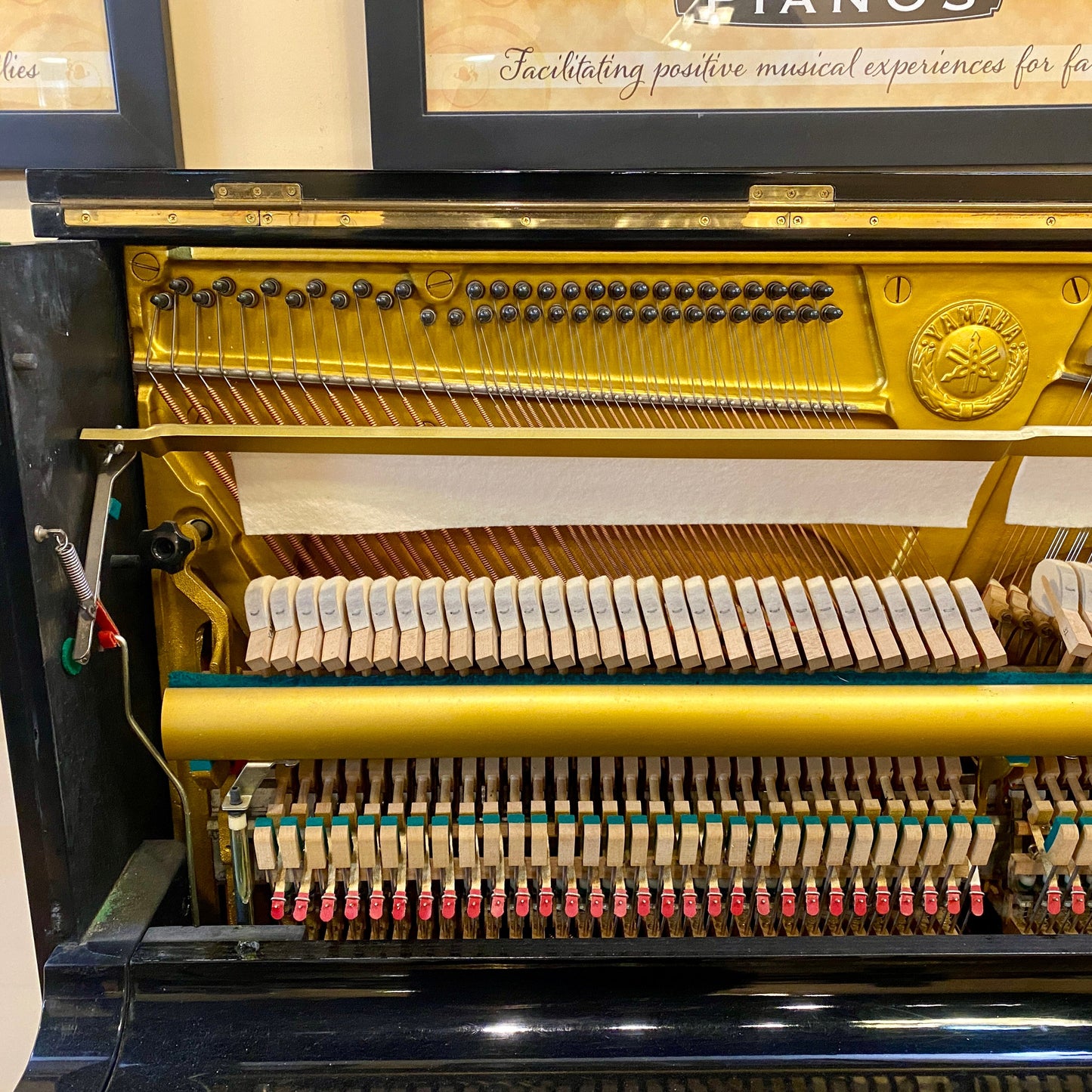 Image 10 of 1974 Yamaha U1