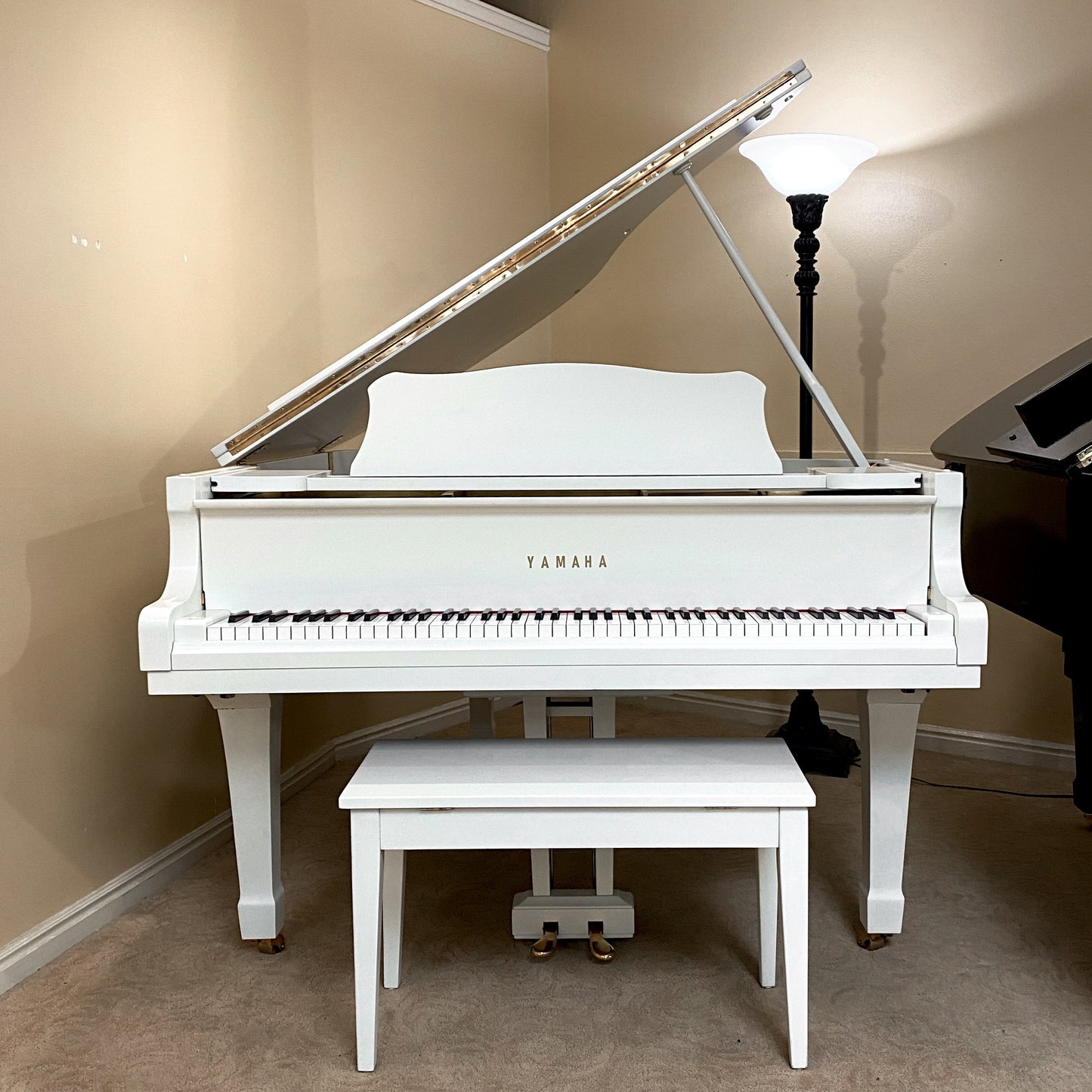 Image 2 of 1977 Yamaha G3 5'10" Satin White