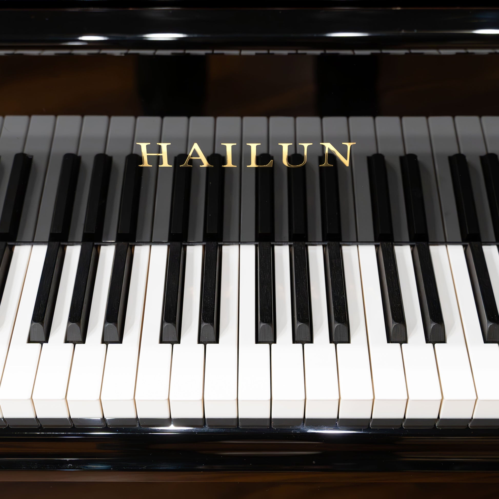 Image 4 of Hailun VG-278 / Polished Black / 9'1" with QRS Self Playing System