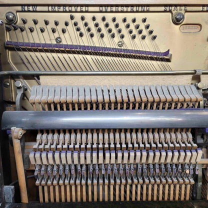 CURRENT SHOP WORK 1913 Meister 57" Wood Finish Commissioned Upright Piano