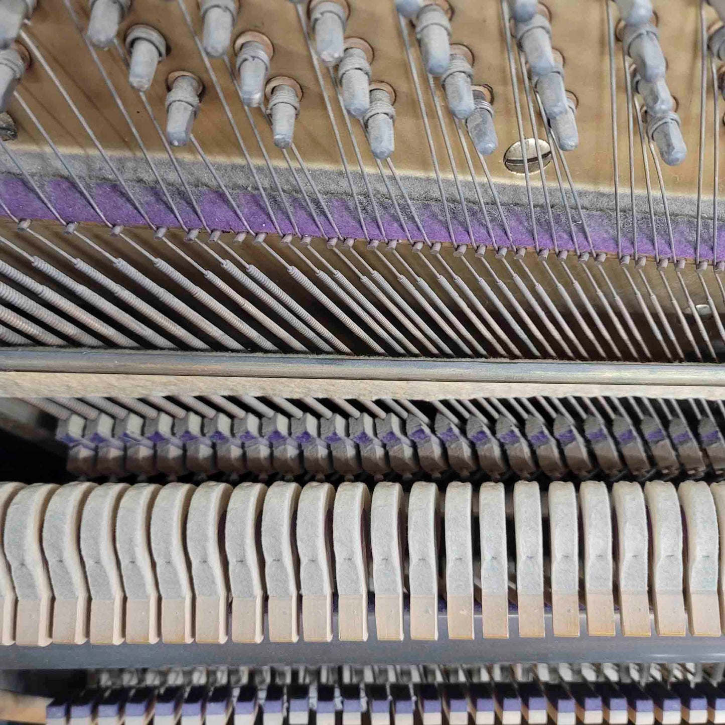 CURRENT SHOP WORK 1913 Meister 57" Wood Finish Commissioned Upright Piano