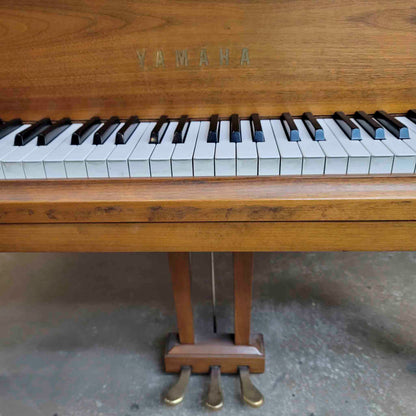 CURRENT SHOP WORK 1970 Yamaha G1 5'3" Walnut Wood Finish Commissioned Grand Piano