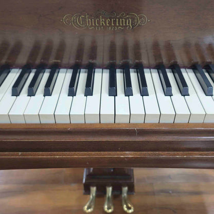 CURRENT SHOP WORK 1968 Chickering 5' Wood Finish Commissioned Grand Piano