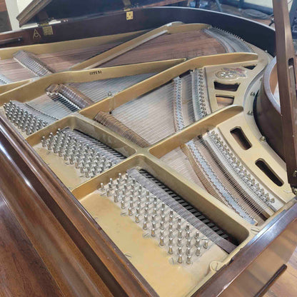 CURRENT SHOP WORK 1968 Chickering 5' Wood Finish Commissioned Grand Piano