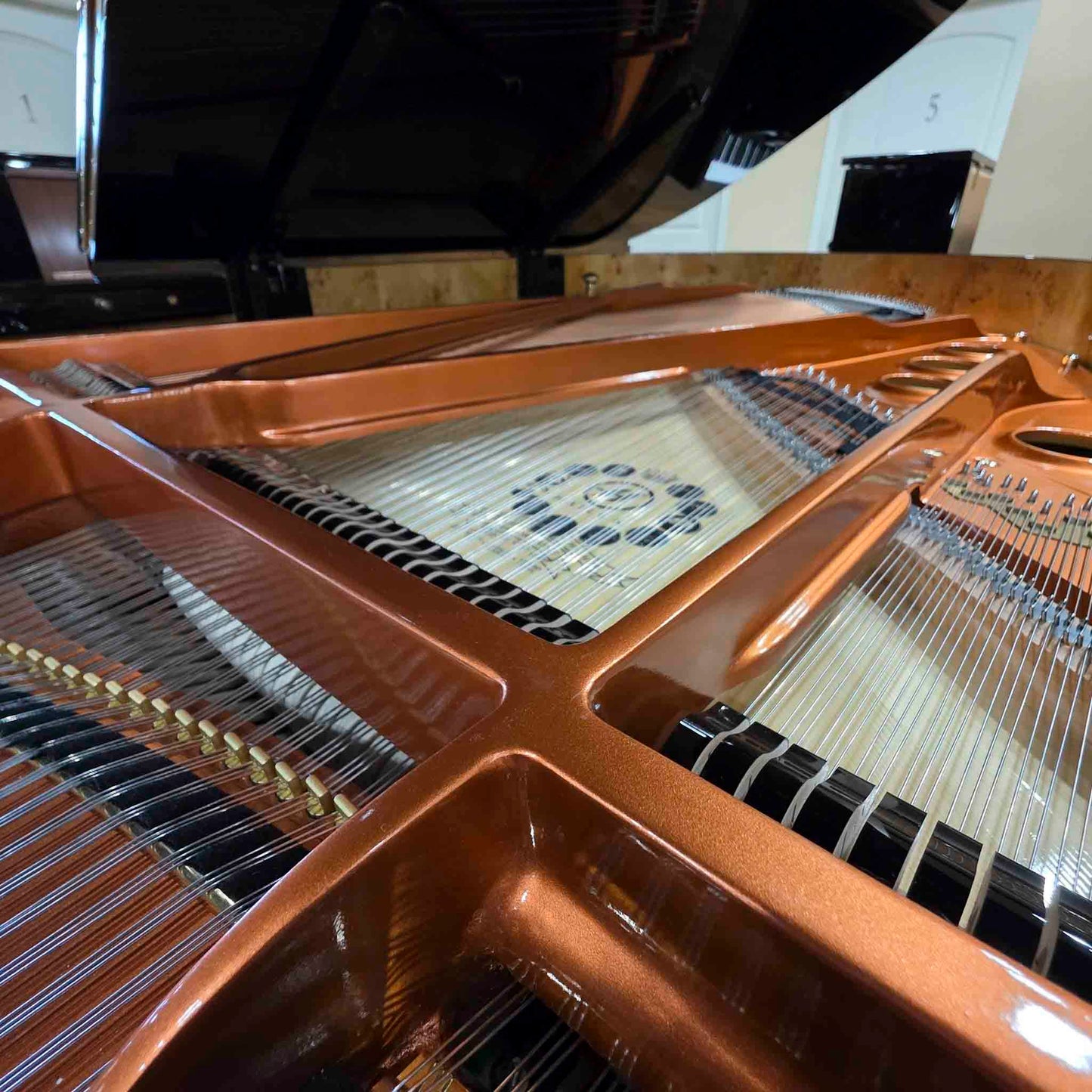 Hailun 198 6'6" Polished Black Grand Piano