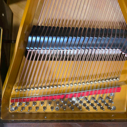1996 Petrof 5'8" Polished Walnut Grand Piano