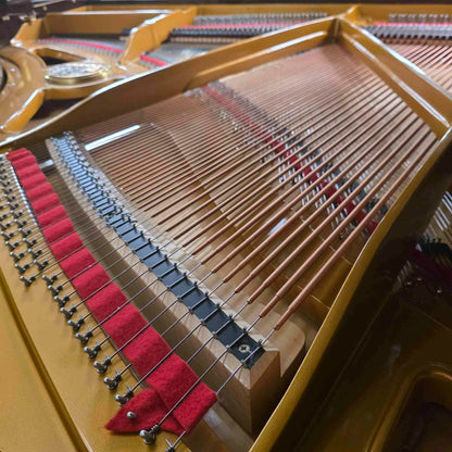 1996 Petrof 5'8" Polished Walnut Grand Piano