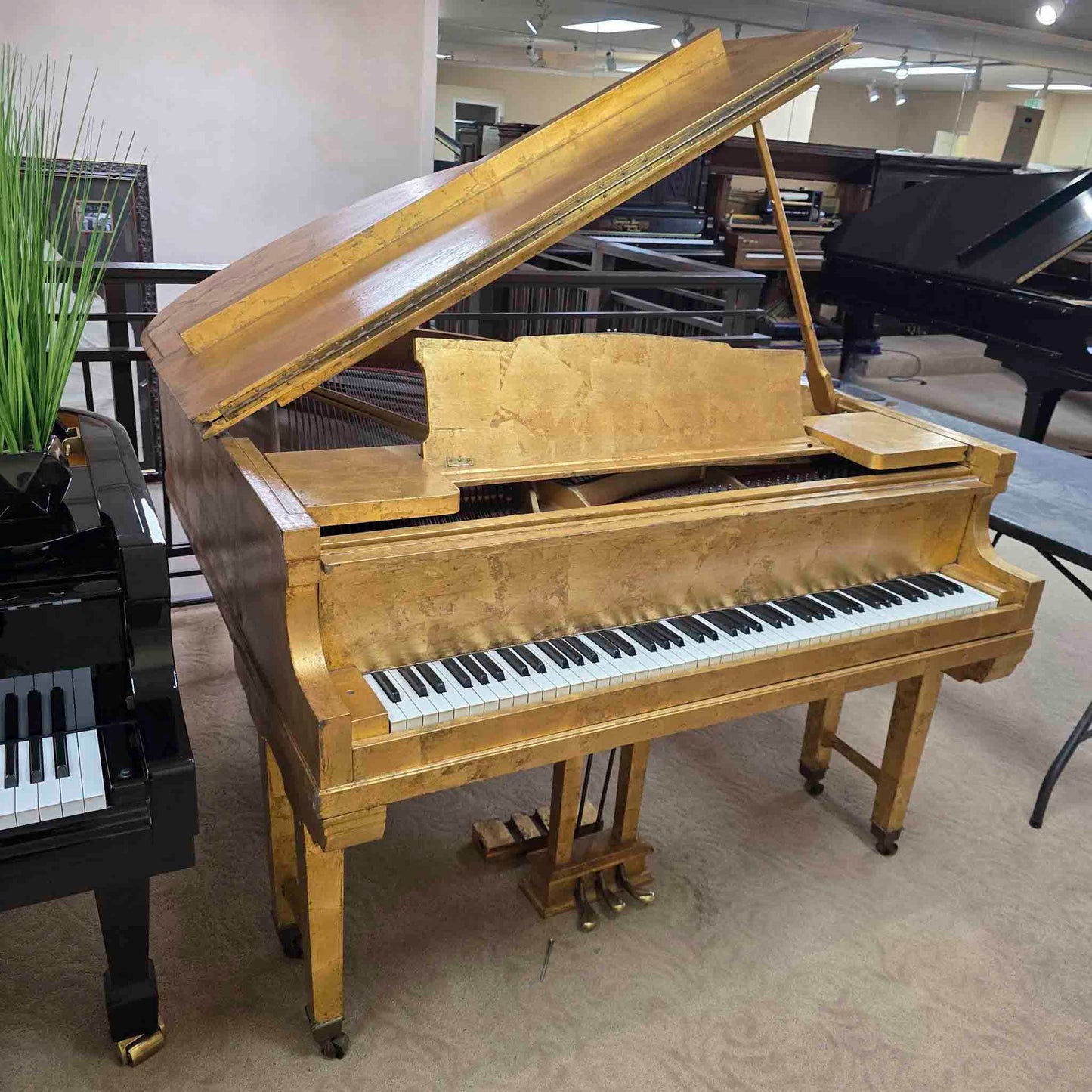 CURRENT SHOP WORK 1918 Hazelton Bros 5'3" Wood Finish "Gold Leaf" Commissioned Grand Piano
