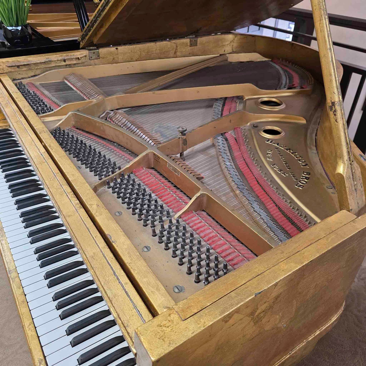 CURRENT SHOP WORK 1918 Hazelton Bros 5'3" Wood Finish "Gold Leaf" Commissioned Grand Piano