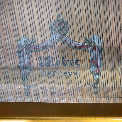 CURRENT SHOP WORK 2004 Weber WG-150 4'11" Polished Black Commissioned Baby Grand Player Piano