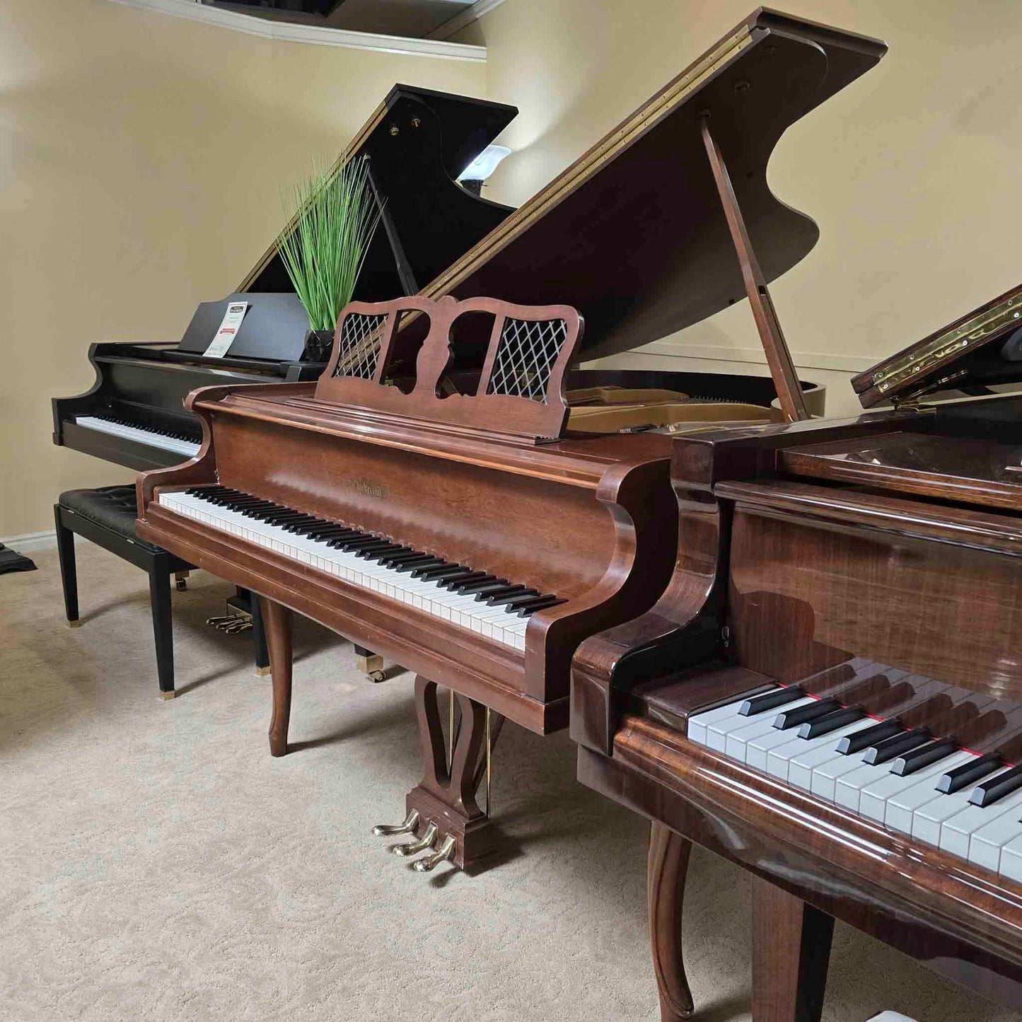 HEIRLOOM RESTORATION 1968 Chickering 5' Wood Finish Commissioned Grand Piano
