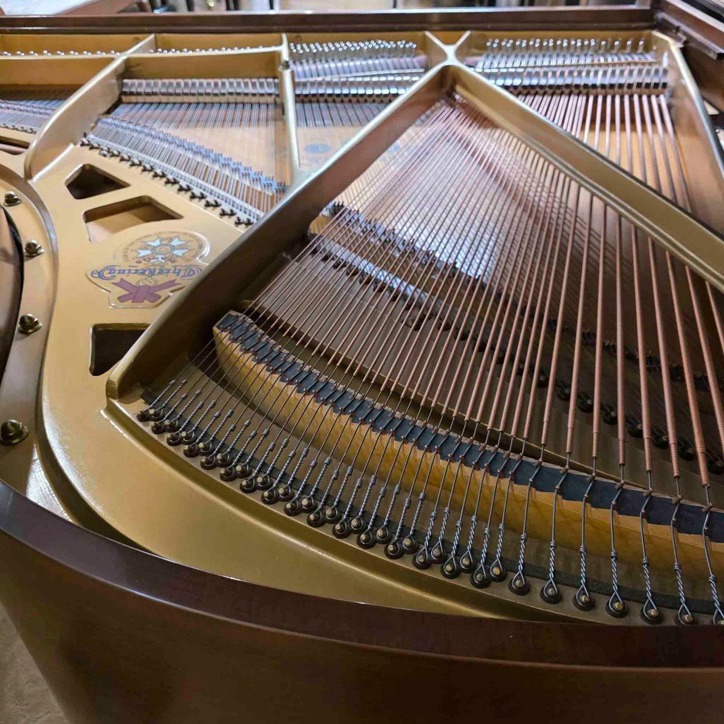 HEIRLOOM RESTORATION 1968 Chickering 5' Wood Finish Commissioned Grand Piano