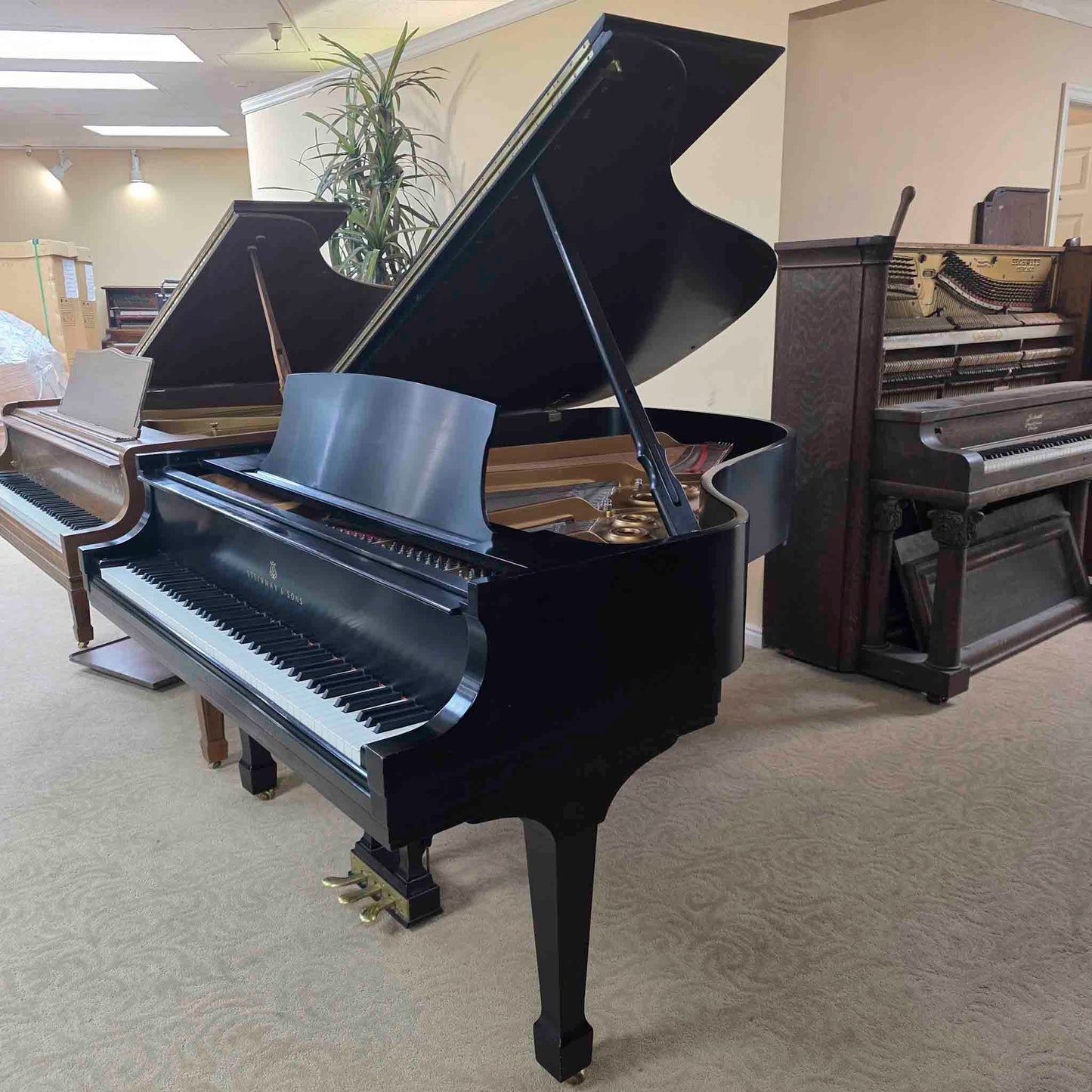 HEIRLOOM RESTORATION 1983 Steinway & Sons Model L 5'10" Satin Black Commissioned Grand Piano