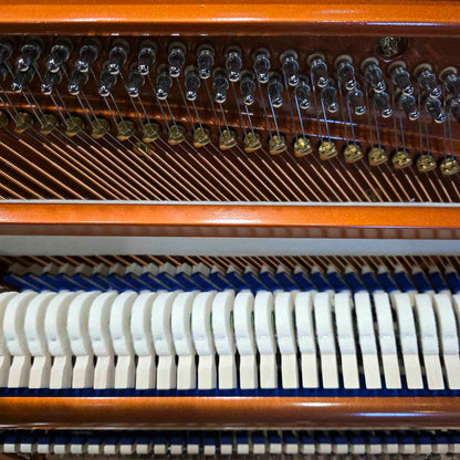 SOLD Hailun HU-125A  49.5" Custom Crystal Upright Piano with Self-Playing QRS System