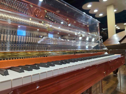 SOLD Hailun HU-125A  49.5" Custom Crystal Upright Piano with Self-Playing QRS System