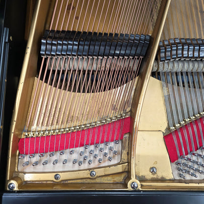 1888 Bechstein 7' Grand photo 7