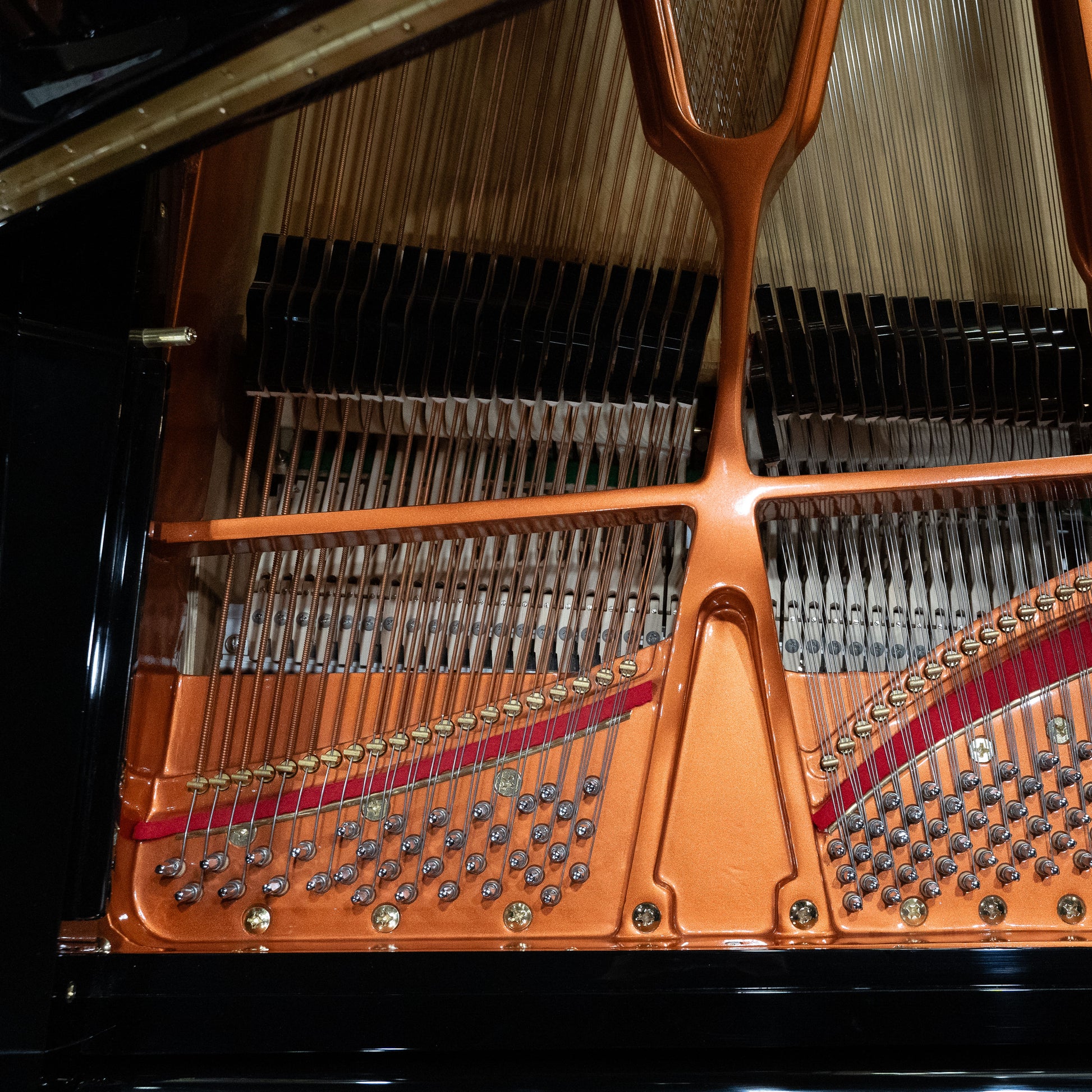 Image 11 of Hailun VG-278 / Polished Black / 9'1" with QRS Self Playing System