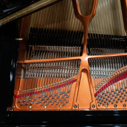 Image 11 of Hailun VG-278 / Polished Black / 9'1" with QRS Self Playing System