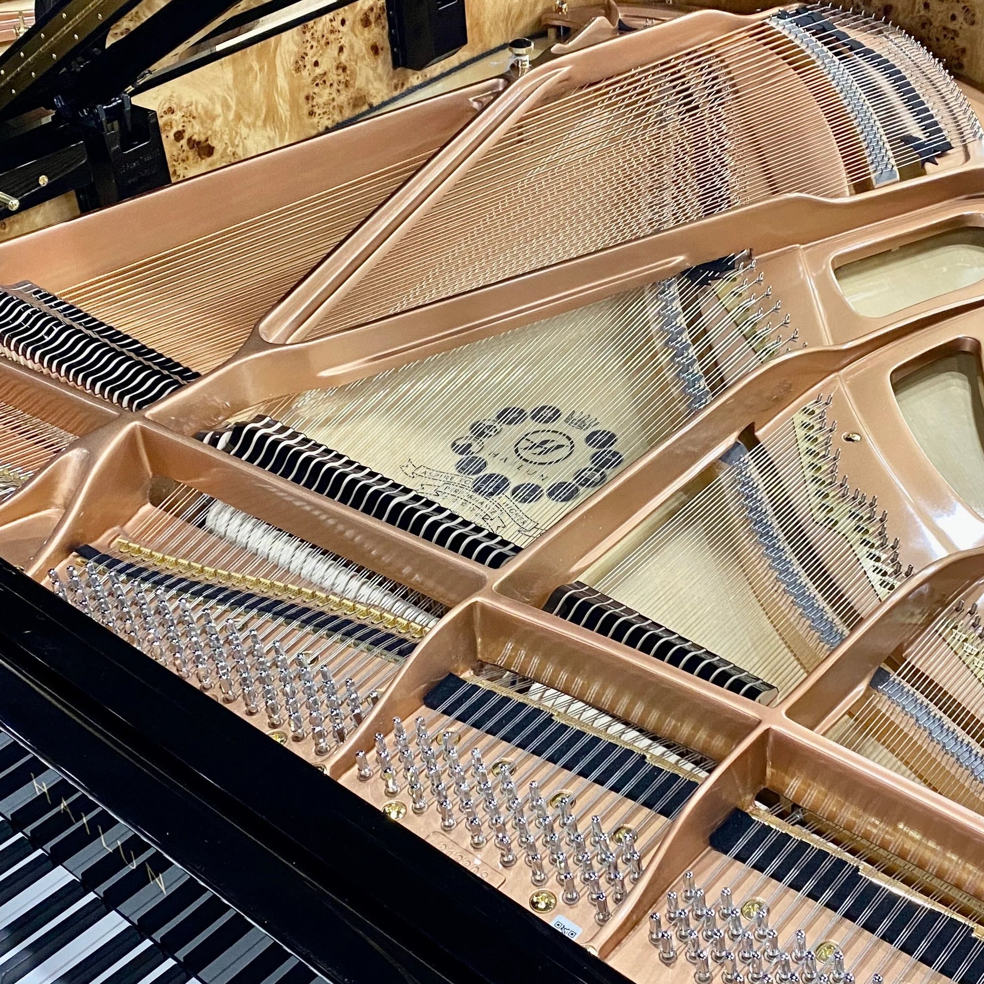 Detailed close-up view of the interior mechanism of a Hailun 178 grand piano, showcasing the shiny copper strings, tuning pins, bird's-eye maple inner rim, and the gold cast-iron plate with the Hailun logo emblem at Brigham Larson Pianos in Orem, UT.