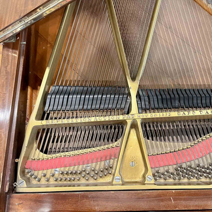 CURRENT SHOP WORK - 1900 Steinway 6' Art Case Wood Finish Grand Piano