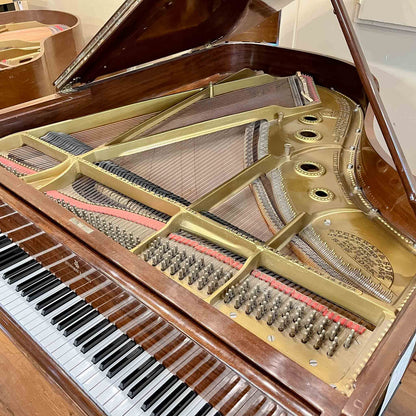 CURRENT SHOP WORK - 1900 Steinway 6' Art Case Wood Finish Grand Piano